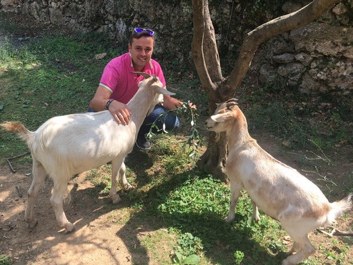 Albenga, appello del consigliere Ciangherotti: "Rispetto delle tradizioni islamiche, ma quest'anno niente pecore sgozzate sui terrazzi"