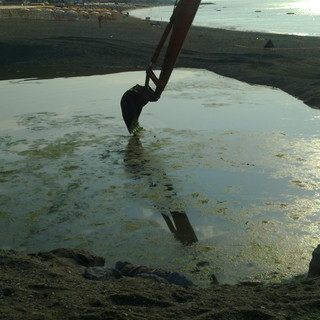 Cialtroni a Ponente: depuratori fantasma, inquinamento vero