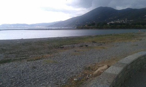 Albenga: ripulita la foce del fiume Centa (FOTO)