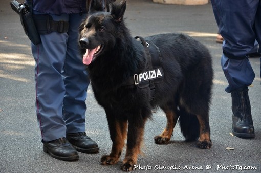 Reati del mondo giovanile: i controlli della Polizia si spostano in Valbormida Reati del mondo giovanile: i controlli della Polizia si spostano in Valbormida