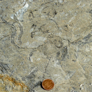 Escursioni per scoprire il patrimonio geologico delle Alpi del Mediterraneo