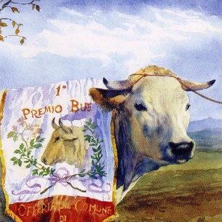 In dieci giorni la fanpage de "La Fiera Nazionale del Bue Grasso a Carrù" conta già 500 iscritti: rivivi le manifestazioni passate e scopri il programma della 107° edizione