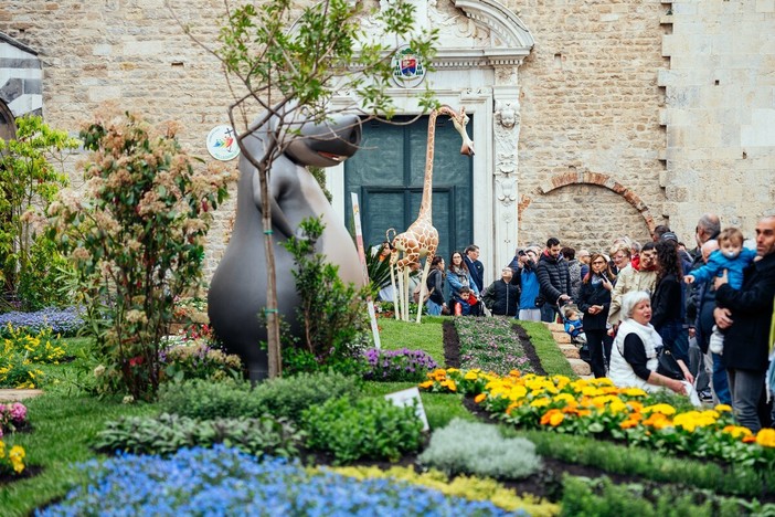 Fior d’Albenga 2026: il gioco fiorisce nel centro storico con piante e aromatiche