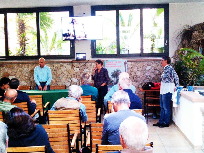 Punteruolo rosso a Finale Ligure: un dibattito per conoscere come contrastare il parassita