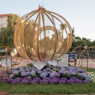 Fior d'Albenga: "Progetto Otto con Cenerentola" vince il concorso "Aiuola da Favola" (FOTO e VIDEO)