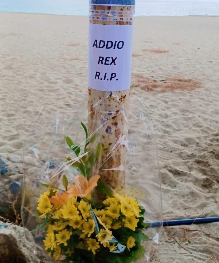 Cane ucciso ad Albissola, l'appello per cercare testimoni: "Questa persona va identificata e fermata, chi ha queste reazioni è un pericolo per l’intera società”