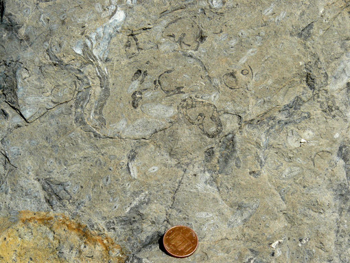 Escursioni per scoprire il patrimonio geologico delle Alpi del Mediterraneo
