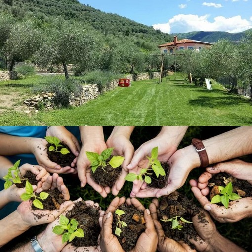 Regione, Vaccarezza ("Cambiamo"): "Tre milioni per le attività agrituristiche e di agricoltura sociale"