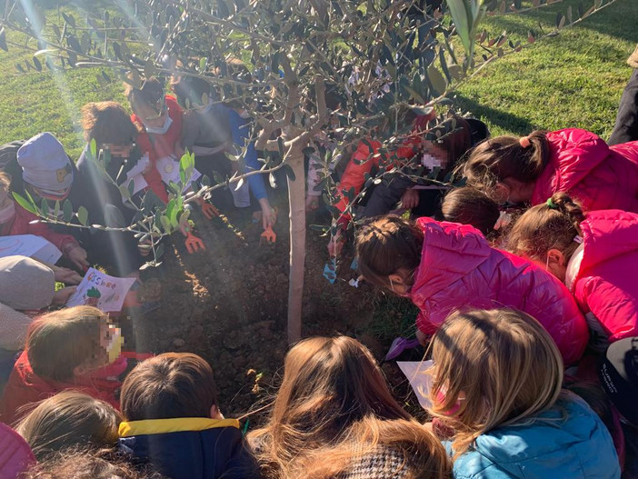 Festa degli Alberi, gli alunni delle scuole piantano un ulivo nel giardino della Pagoda Festa degli Alberi, gli alunni delle scuole piantano un ulivo nel giardino della Pagoda