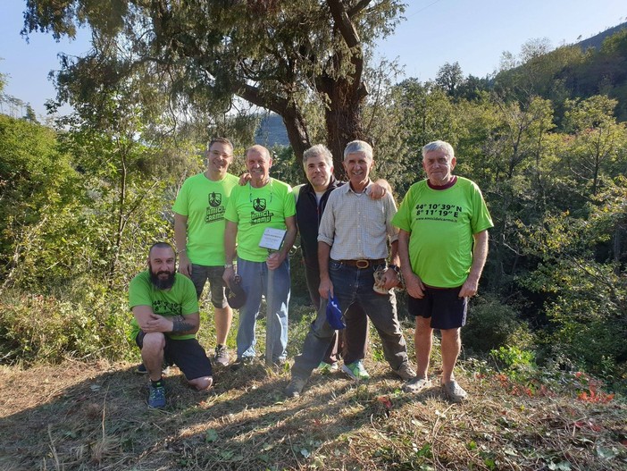 Gli "Amici del Carmo" ripuliscono l'albero monumentale di Verzi di Loano Gli "Amici del Carmo" ripuliscono l'albero monumentale di Verzi di Loano