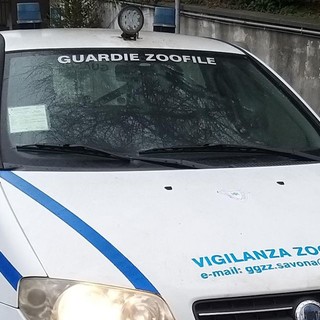 Le guardie zoofile volontarie: "A Natale non regalate animali"