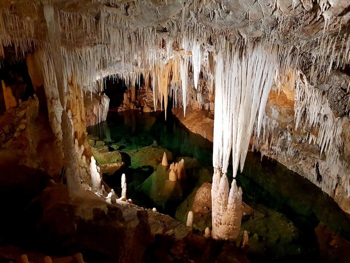 Grotte di Borgio Verezzi, riapertura e bilancio positivo per il servizio gestito dalla Coop. Arcadia Grotte di Borgio Verezzi, riapertura e bilancio positivo per il servizio gestito dalla Coop. Arcadia