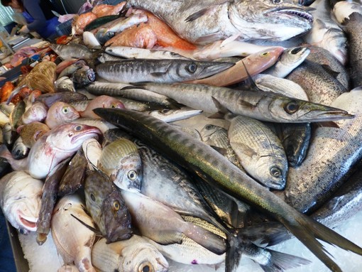 Finale Ligure, il pesce servito ai tavoli? Lo controlla la Guardia Costiera
