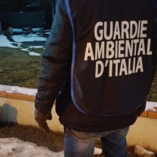 1° Corso di formazione GADIT per guardia ecozoofila della delegazione di Savona 1° Corso di formazione GADIT per guardia ecozoofila della delegazione di Savona