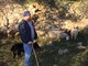 Albenga: lupi divorano un gregge, prelevate le carcasse per essere analizzate