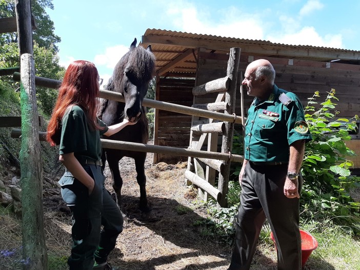 Guardie zoofile e ambientali di Fare Ambiente Laboratorio Verde Savona: il report delle attività del 2021 Guardie zoofile e ambientali di Fare Ambiente Laboratorio Verde Savona: il report delle attività del 2021