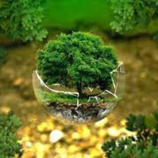 Giornata mondiale della Terra 2021: amianto e altri disastri Giornata mondiale della Terra 2021: amianto e altri disastri