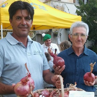 Ad Andora si assaporano i "totani dell'orto"