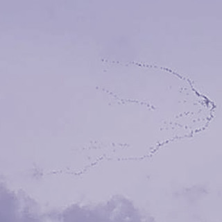 La danza delle gru nei cieli del Finalese (FOTONEWS)