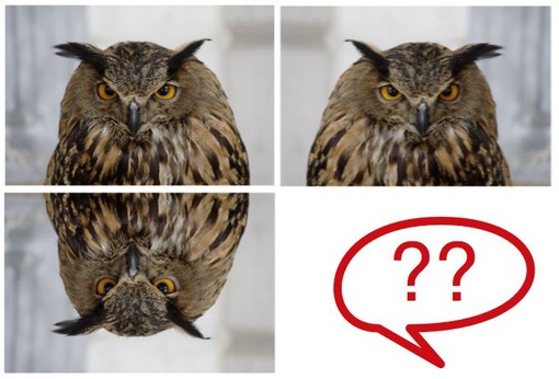 Silvestro attacca: poca trasparenza nella designazione della terna papabile per la guida dell'autorità portuale Silvestro attacca: poca trasparenza nella designazione della terna papabile per la guida dell'autorità portuale