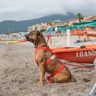 Loano, torna “Galleggiando &amp; Bolleggiando”: mare e nuoto per il benessere psico-fisico dei ragazzi disabili