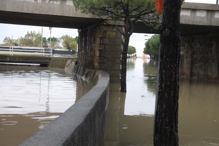 Ecco come si presentava stamane viale Einaudi ad Albenga Ecco come si presentava stamane viale Einaudi ad Albenga
