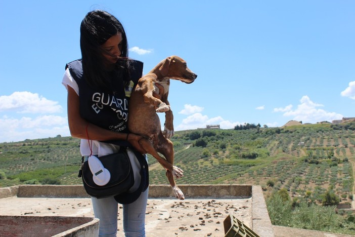 La Liguria sempre più dalla parte degli animali: al via in tutte le province i corsi di formazione per diventare guardie eco-zoofile Oipa La Liguria sempre più dalla parte degli animali: al via in tutte le province i corsi di formazione per diventare guardie eco-zoofile Oipa
