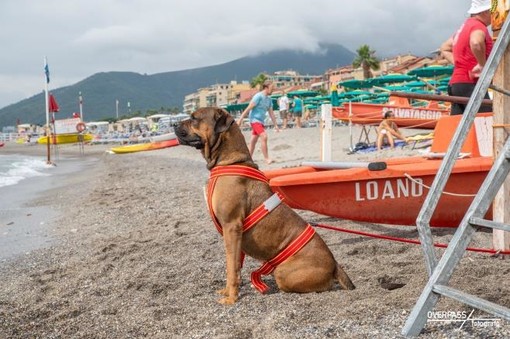 Loano, torna “Galleggiando &amp; Bolleggiando”: mare e nuoto per il benessere psico-fisico dei ragazzi disabili