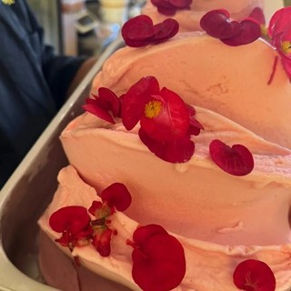 Alassio, la gelateria Perlecò conferma i “Due Coni” del Gambero Rosso. Giannotta: “Orgoglio per la città” Alassio, la gelateria Perlecò conferma i “Due Coni” del Gambero Rosso. Giannotta: “Orgoglio per la città”