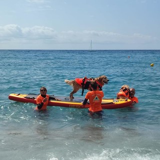 Spotorno ospita il Sail Camp: vela, nuoto e cani da salvamento per i bambini diabetici Spotorno ospita il Sail Camp: vela, nuoto e cani da salvamento per i bambini diabetici