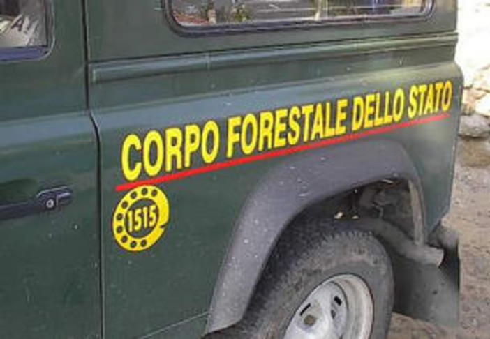 Casanova Lerrone:agricoltore denunciato per incendio colposo