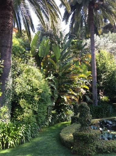 Alassio, nel weekend visita ai Giardini di Villa della Pergola Alassio, nel weekend visita ai Giardini di Villa della Pergola