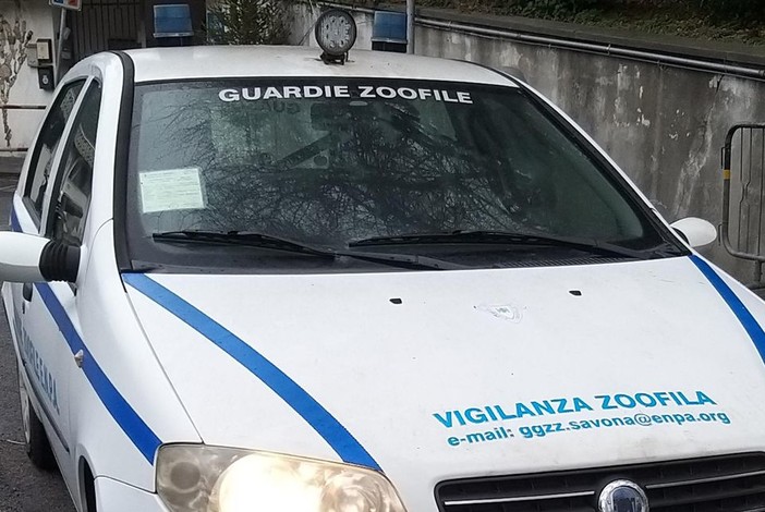 Le guardie zoofile volontarie: "A Natale non regalate animali" Le guardie zoofile volontarie: "A Natale non regalate animali"