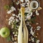 Arriva alle Maldive il Prosecco Bar di Bottega Arriva alle Maldive il Prosecco Bar di Bottega