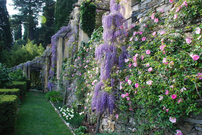 Alassio, sabato e domenica visite guidate ai Giardini di Villa della Pergola
