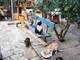Savona, venerdi aperimicio per il gattile Enpa "Amico Gatto" Savona, venerdi aperimicio per il gattile Enpa "Amico Gatto"
