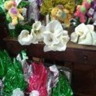 Albenga:"A Pasqua non scegliere un uovo qualsivoglia, con le Uova ANT fai del bene e ti togli la voglia"