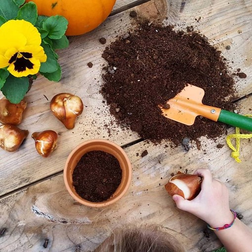 Garden Festival d’Autunno: laboratori e letture per i più piccoli in occasione della Festa dei Nonni