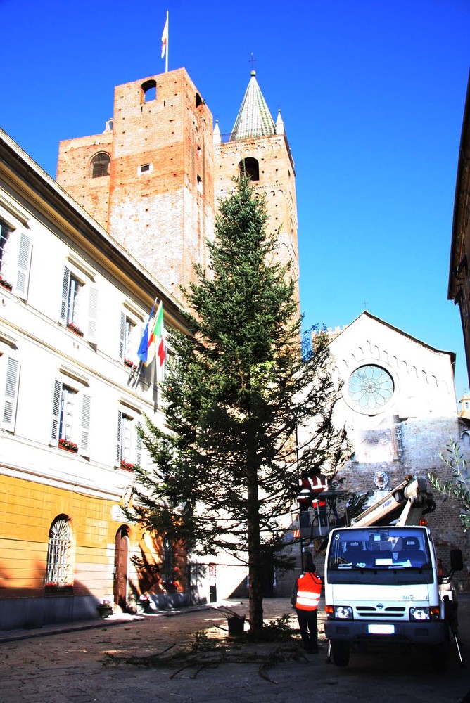 Albenga: il Comune festeggia il suo albero di Natale Albenga: il Comune festeggia il suo albero di Natale