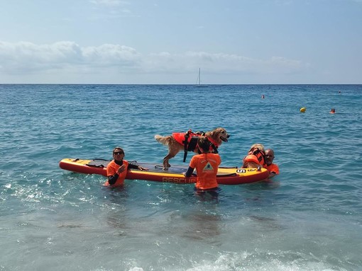 Spotorno ospita il Sail Camp: vela, nuoto e cani da salvamento per i bambini diabetici Spotorno ospita il Sail Camp: vela, nuoto e cani da salvamento per i bambini diabetici