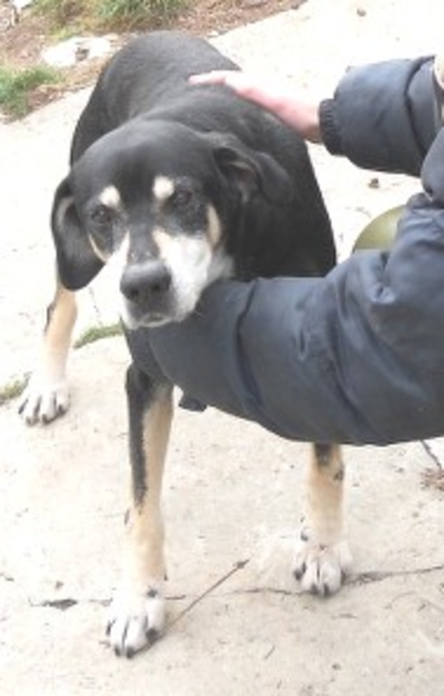 Giulio cerca casa Giulio cerca casa