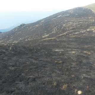 Gli incendi nel ponente genovese hanno provocato gravi danni nel Parco del Beigua