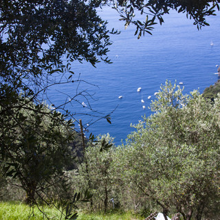 Turismo in Liguria: in crescita gli italiani, frenata per gli ospiti stranieri. Le analisi sui flussi a luglio da Coldiretti