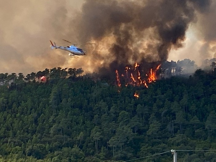 Incendi, Coldiretti Savona: &quot;Si contrasti l'abbandono dei territori per tutelare il patrimonio boschivo&quot;