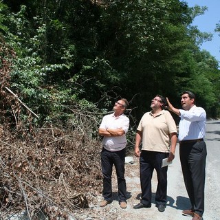 Immagine dell'intervento