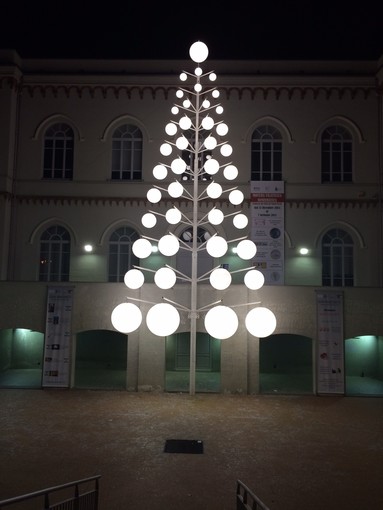 A Cairo Montenotte si accende l'albero di Natale