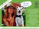 Alassio, &quot;Sliding Dog&quot;: un video con Cecio per promuovere la città come meta turistica con il proprio cane