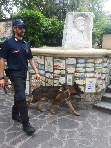 Unità cinofile dei carabinieri in azione ad Alassio (FOTO) Unità cinofile dei carabinieri in azione ad Alassio (FOTO)
