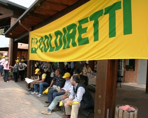 Da Cengio a Pistoia, il viaggio del palloncino giallo della Coldiretti di &quot;Zucca in Piazza&quot;