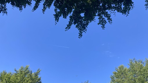 Avvistamento nei cieli tra Osiglia, Murialdo e Calizzano: "Un elicottero civile in volo sulla base militare americana del Settepani, era autorizzato?" Avvistamento nei cieli tra Osiglia, Murialdo e Calizzano: "Un elicottero civile in volo sulla base militare americana del Settepani, era autorizzato?"